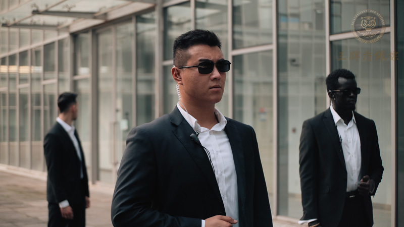 2025年中国保镖公司服务质量哪家强？专业、科技与定制化成决胜关键